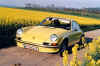 2005-06-26 erwin zwoelfer Porsche in gelber Wiese.jpg (67933 Byte)