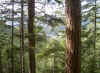 OTKE Fahrt Looshaus Semmering Payerbach-Hllental 044.jpg (248028 Byte)