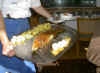PICT0093.JPG (748890 Byte)