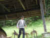 OTKE Stbing Graz 019 (Large).jpg (163879 Byte)