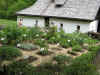 OTKE Stbing Graz 034 (Large).jpg (217636 Byte)