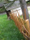 OTKE Stbing Graz 055 (Large).jpg (119343 Byte)